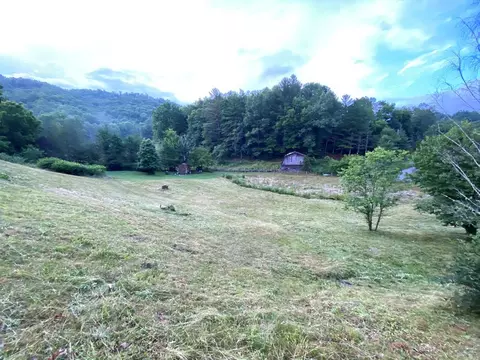 36 Triangle Rd, Tuckasegee, NC 28783 photo 6