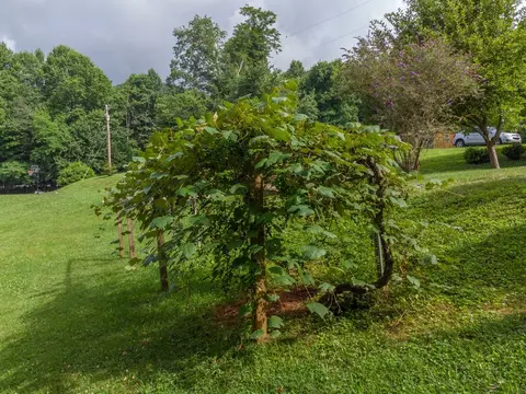 331 Mitchell Rd, Sylva, NC 28779 photo 15