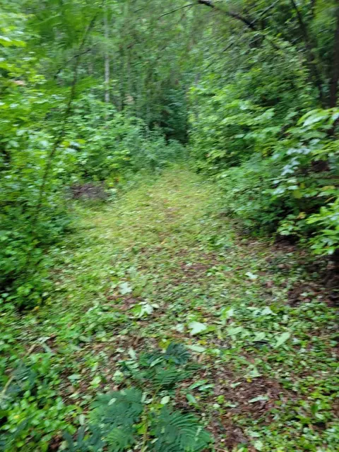 121 Good Things Rd, Sylva, NC 28779 photo 2