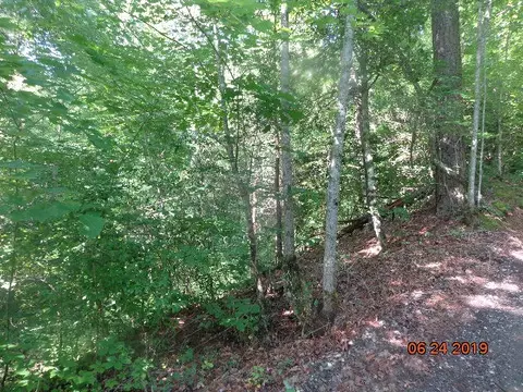 121 Good Things Rd, Sylva, NC 28779 photo 4