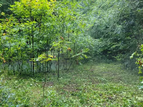 121 Good Things Rd, Sylva, NC 28779 photo 1