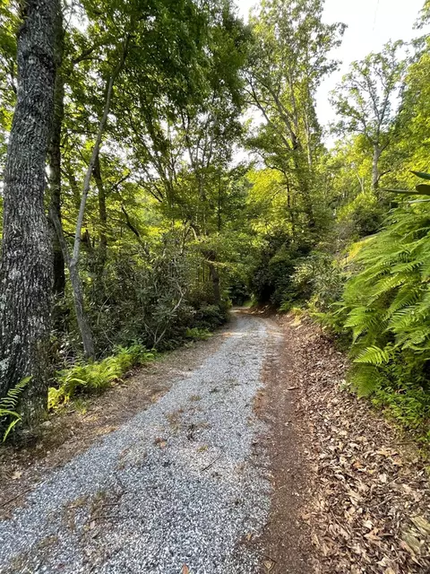 717 Deep Gap Rd, Sylva, NC 28779 photo 7