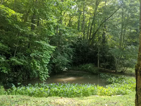 424 Bettys Creek Rd, Sylva, NC 28779 photo 7