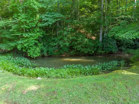 424 Bettys Creek Rd, Sylva, NC 28779 photo 26
