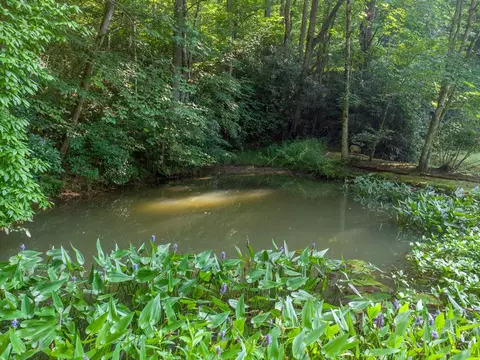 424 Bettys Creek Rd, Sylva, NC 28779 photo 25