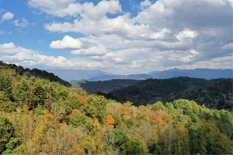 54 Mountain Forest Estate Road, Sylva, NC 28779 photo 5