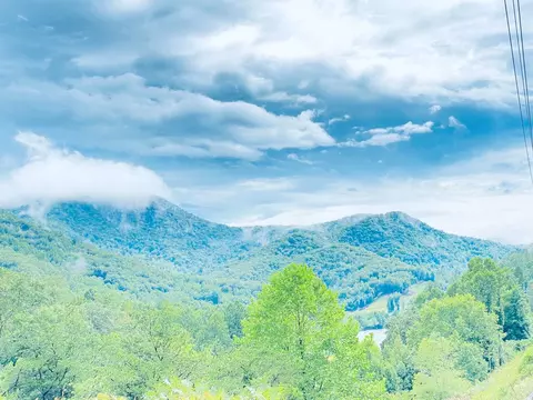 5848 Us Highway 441 S, Sylva, NC 28779 photo 5
