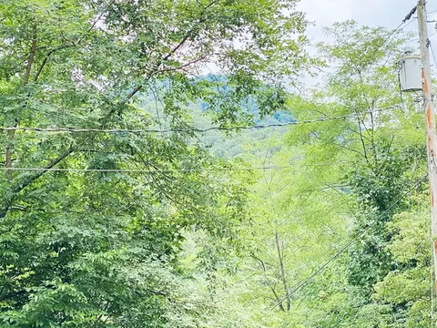 5848 Us Highway 441 S, Sylva, NC 28779 photo 6