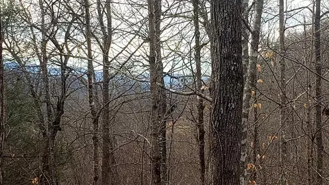 Tbd Caney Fork Road, Cullowhee, NC 28723