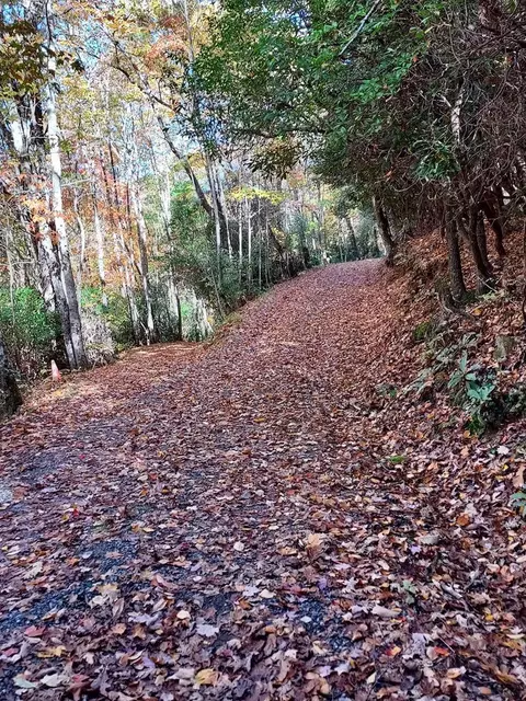 645 Too Sweet Rd, Sylva, NC 28779 photo 3