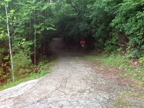 645 Too Sweet Rd, Sylva, NC 28779 photo 33