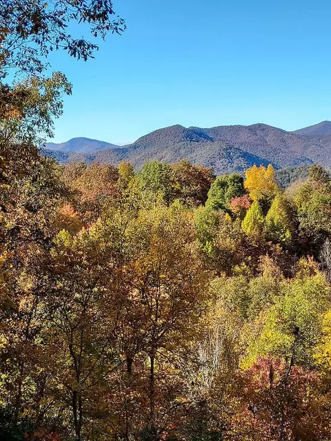 645 Too Sweet Rd, Sylva, NC 28779 photo 2