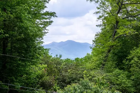 303 Leafstone Cir, Sylva, NC 28779 photo 6