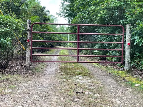 569 Walnut Gap Rd, Cullowhee, NC 28723 photo 30