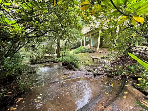 569 Walnut Gap Rd, Cullowhee, NC 28723 photo 3