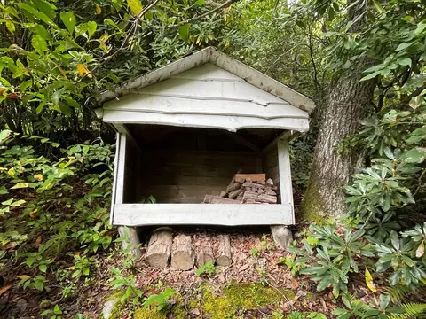 569 Walnut Gap Rd, Cullowhee, NC 28723 photo 13