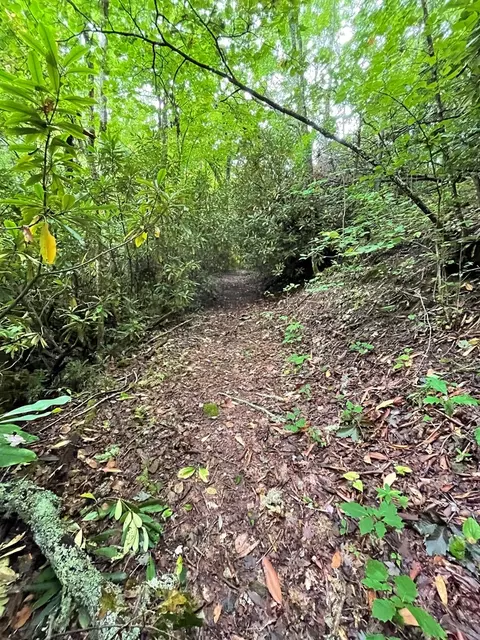 569 Walnut Gap Rd, Cullowhee, NC 28723 photo 12