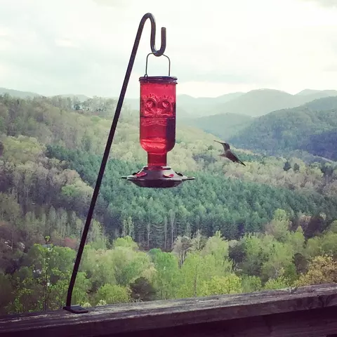 499 Match Pt, Sylva, NC 28779 photo 4