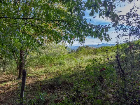 84 Hickory Knob Rd, Franklin, NC 28734 photo 51