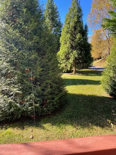 40 Delta Ln, Sylva, NC 28779 photo 34
