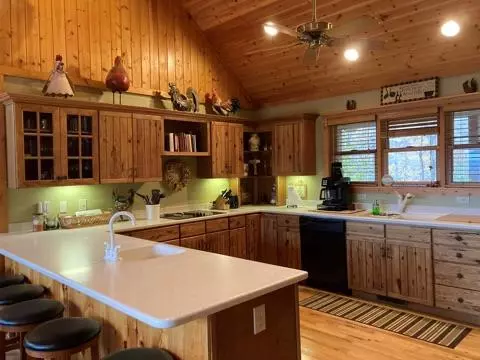 252 Jay Bird Dr, Sylva, NC 28779 photo 16