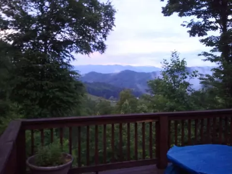 252 Jay Bird Dr, Sylva, NC 28779 photo 4