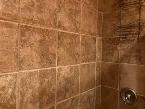 252 Jay Bird Dr, Sylva, NC 28779 photo 29