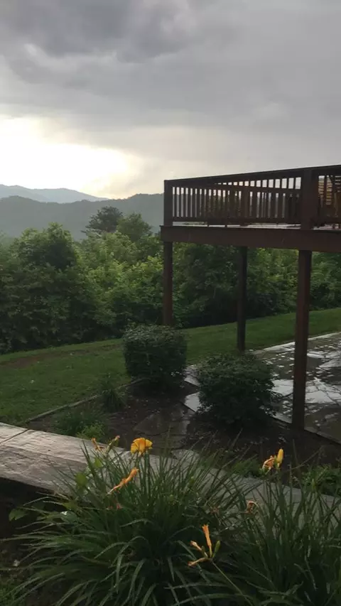 252 Jay Bird Dr, Sylva, NC 28779 photo 5