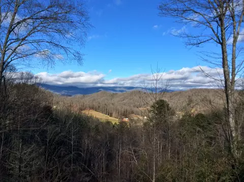 252 Jay Bird Dr, Sylva, NC 28779 photo 3