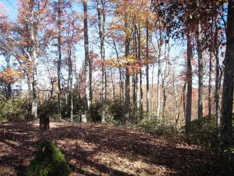 523 Singing Ridge Rd, Sylva, NC 28779 photo 31