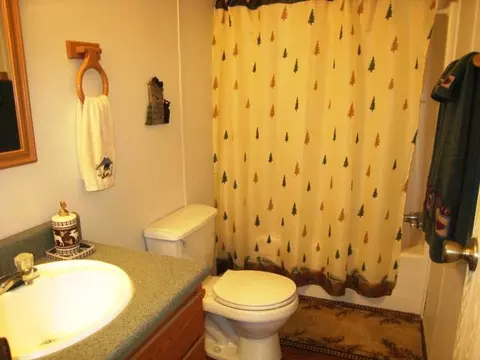 523 Singing Ridge Rd, Sylva, NC 28779 photo 20