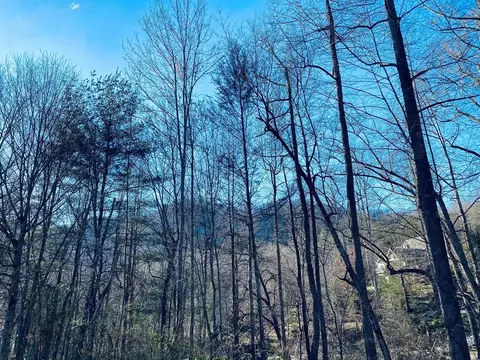 4 Hollywalk Trail, Sylva, NC 28779
