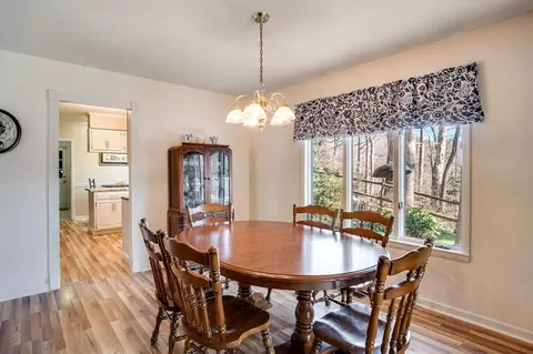 46 Discovery Pl, Sylva, NC 28779 photo 10