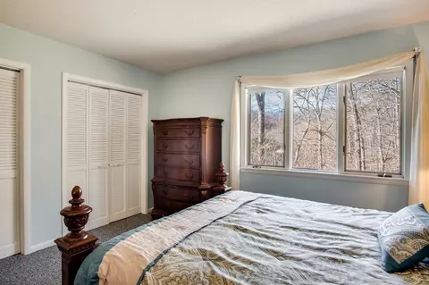46 Discovery Pl, Sylva, NC 28779 photo 17