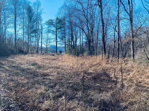 84 Infinity Ln, Sylva, NC 28725 photo 12