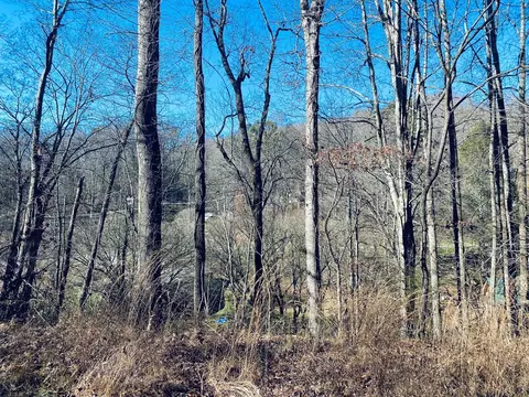 84 Infinity Ln, Sylva, NC 28725 photo 7
