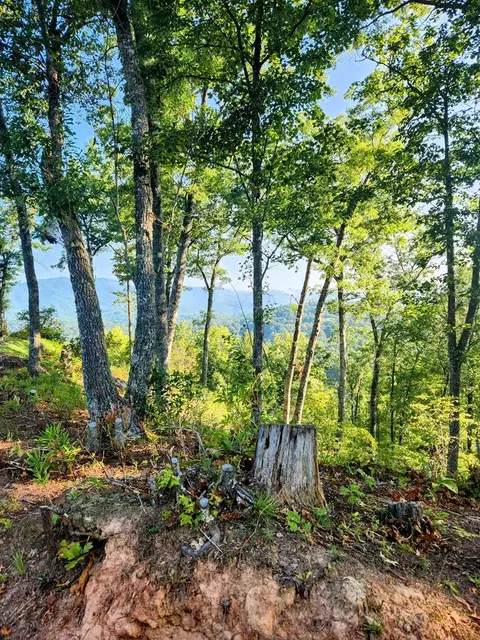 lot12 Owen Way, Whittier, NC 28789