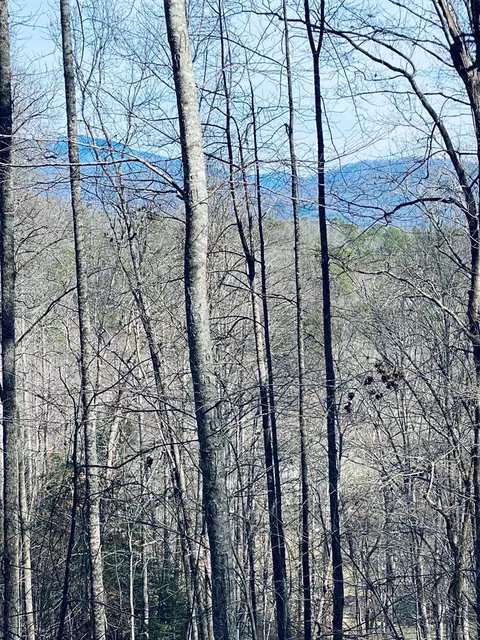200 November Dr, Webster, NC 28788 photo 4
