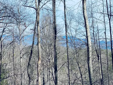 200 November Dr, Webster, NC 28788 photo 1