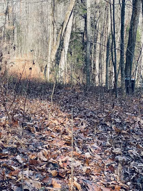 200 November Dr, Webster, NC 28788 photo 6