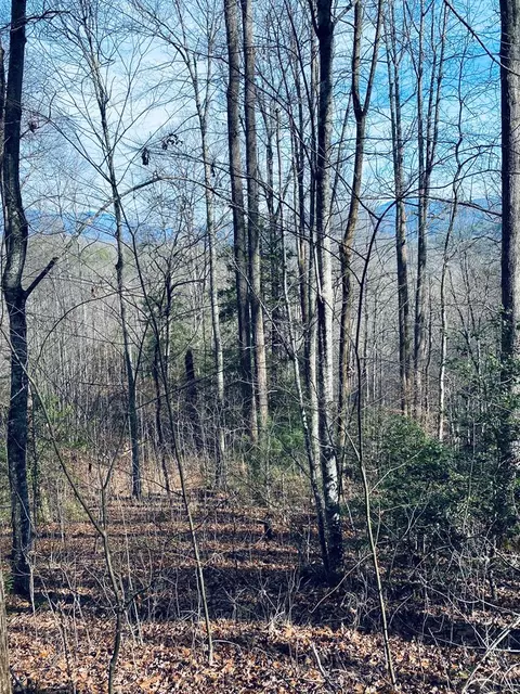 200 November Dr, Webster, NC 28788 photo 3