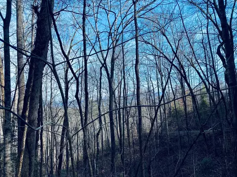 200 November Dr, Webster, NC 28788 photo 9