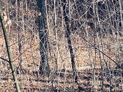 200 November Dr, Webster, NC 28788 photo 8