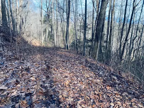 200 November Dr, Webster, NC 28788 photo 5