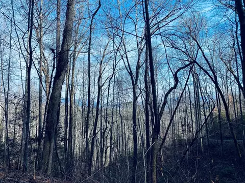 200 November Dr, Webster, NC 28788 photo 11