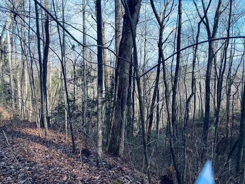 200 November Dr, Webster, NC 28788 photo 7
