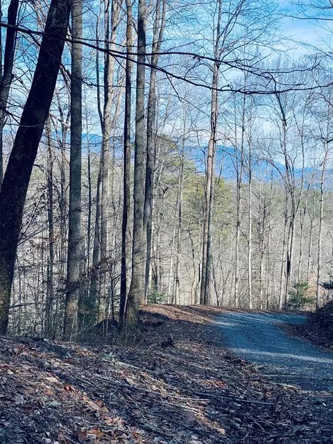 200 November Dr, Webster, NC 28788 photo 2