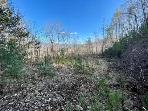 lot9 12 Torwood, Whittier, NC 28789