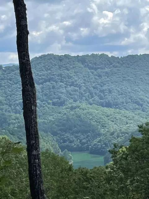 39 Flint Ridge Road, Bryson City, NC 28713