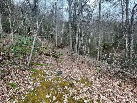 110 Grey Stone Dr, Sylva, NC 28779 photo 64